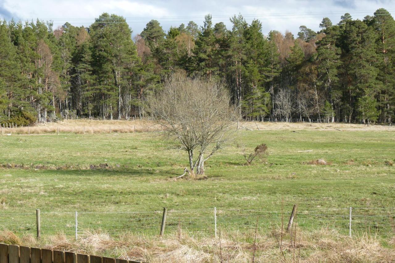 Tanleys B&B Grantown-on-Spey Eksteriør bilde